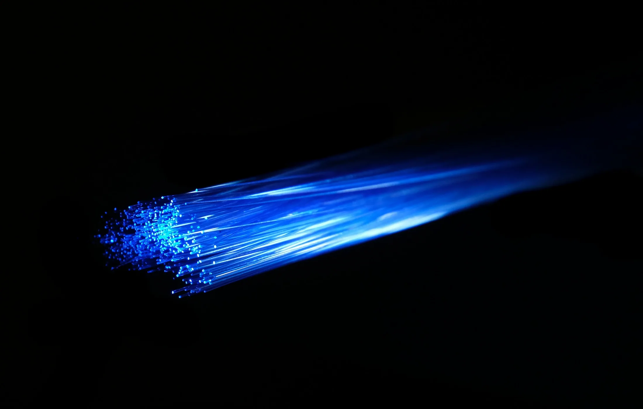 Blue light travelling through a bundle of fibre-optic cables